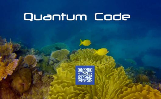 QuantumCode.Org